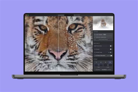 AI Software for photographers & filmmakers